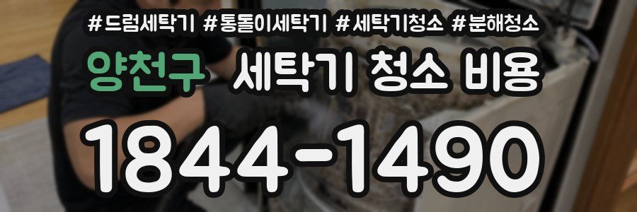 양천구 세탁기 청소 비용