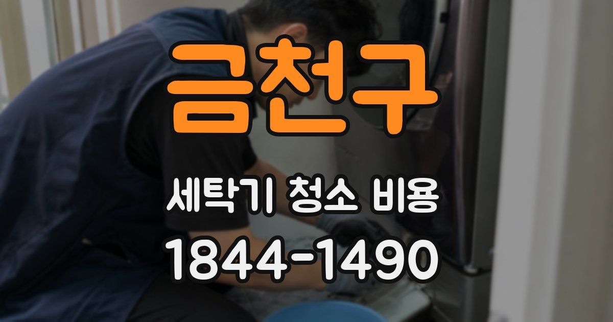 금천구 세탁기 청소 비용