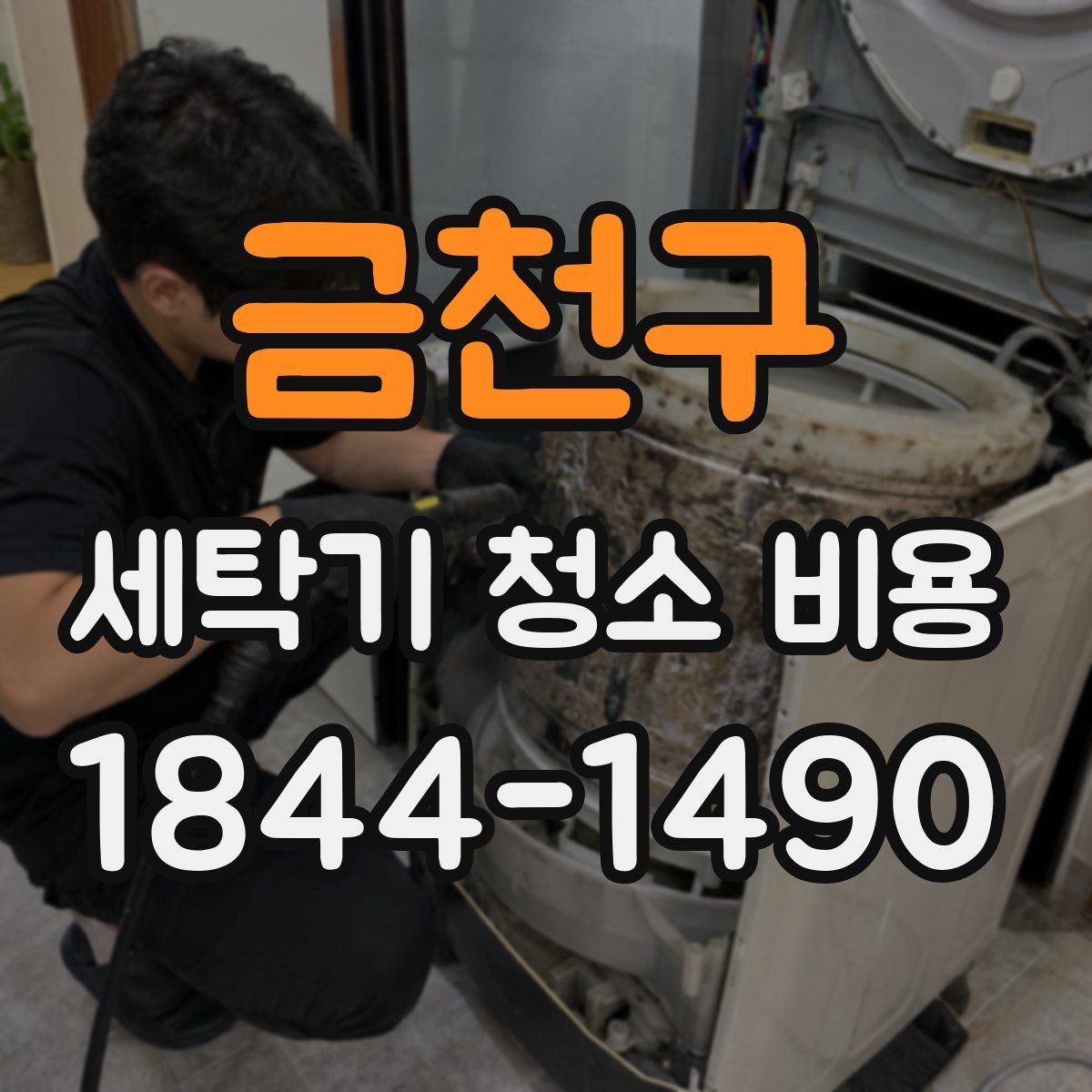금천구 세탁기 청소 비용