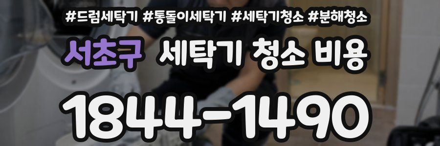 서초구 세탁기 청소 비용