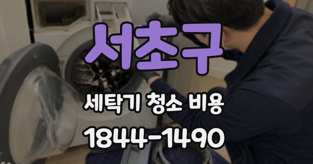 서초구 세탁기 청소 비용