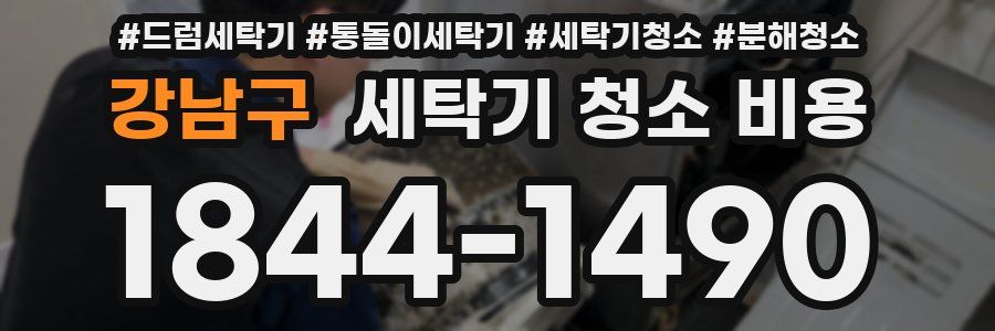 강남구 세탁기 청소 비용