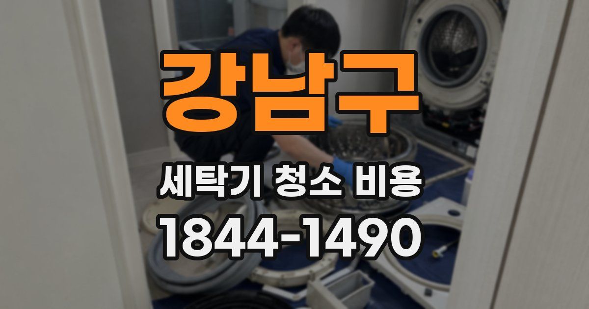 강남구 세탁기 청소 비용