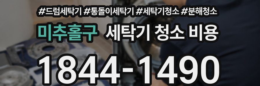 미추홀구 세탁기 청소 비용