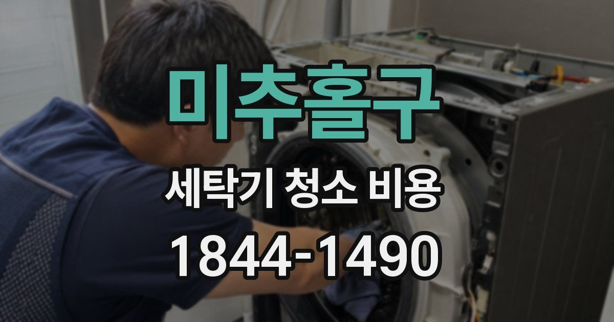 미추홀구 세탁기 청소 비용