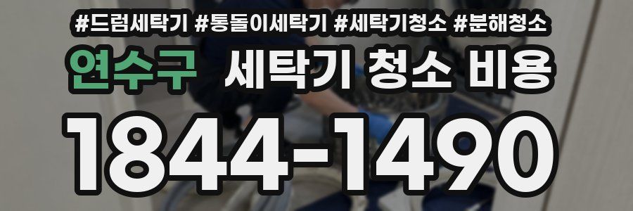 연수구 세탁기 청소 비용