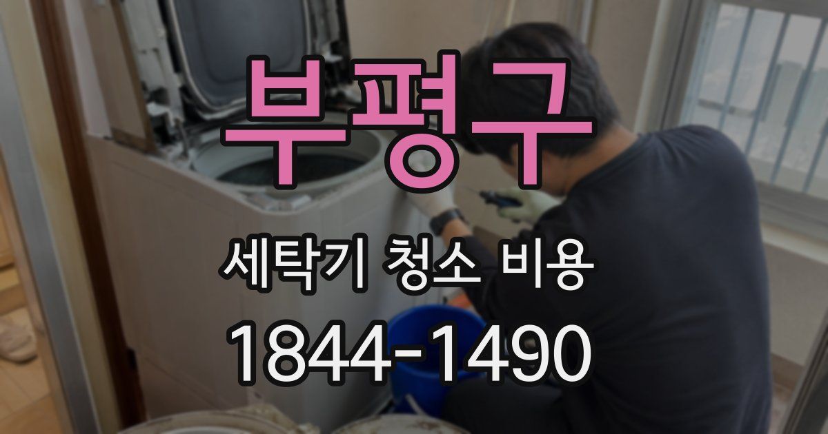 부평구 세탁기 청소 비용