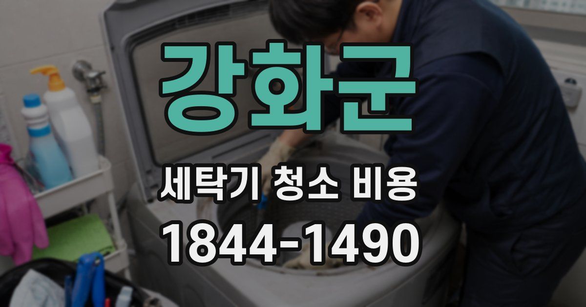 강화군 세탁기 청소 비용