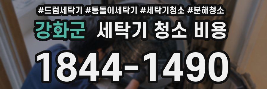 강화군 세탁기 청소 비용