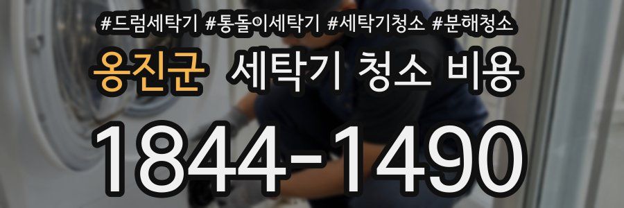 옹진군 세탁기 청소 비용
