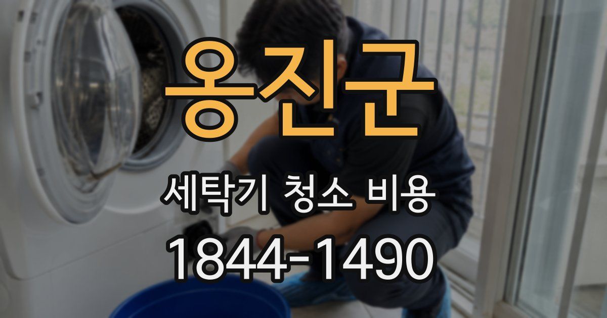 옹진군 세탁기 청소 비용