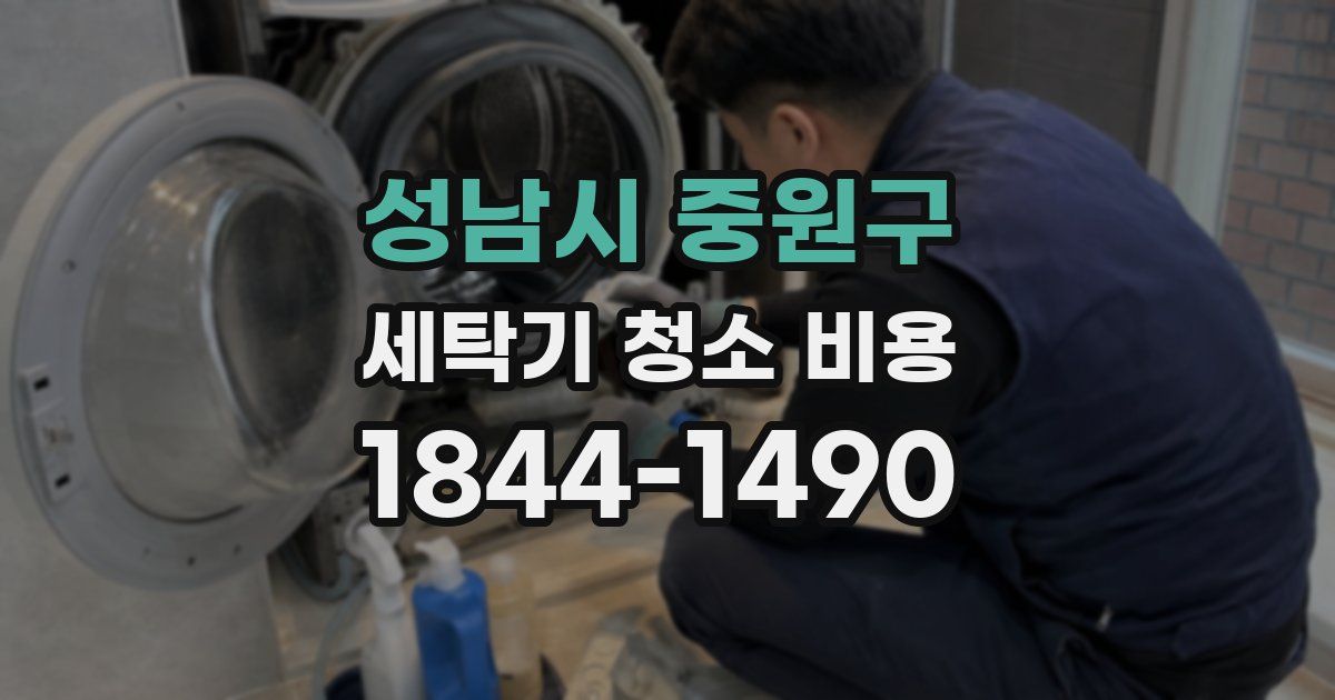 성남시 중원구 세탁기 청소 비용
