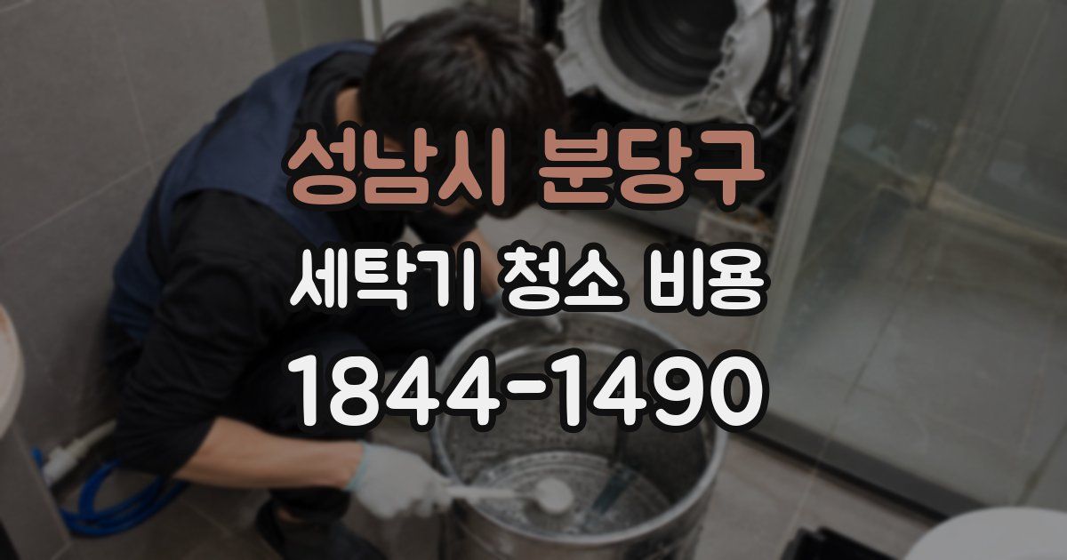 성남시 분당구 세탁기 청소 비용