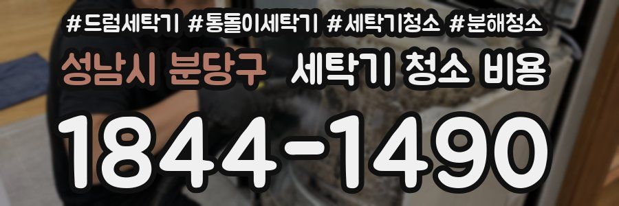 성남시 분당구 세탁기 청소 비용