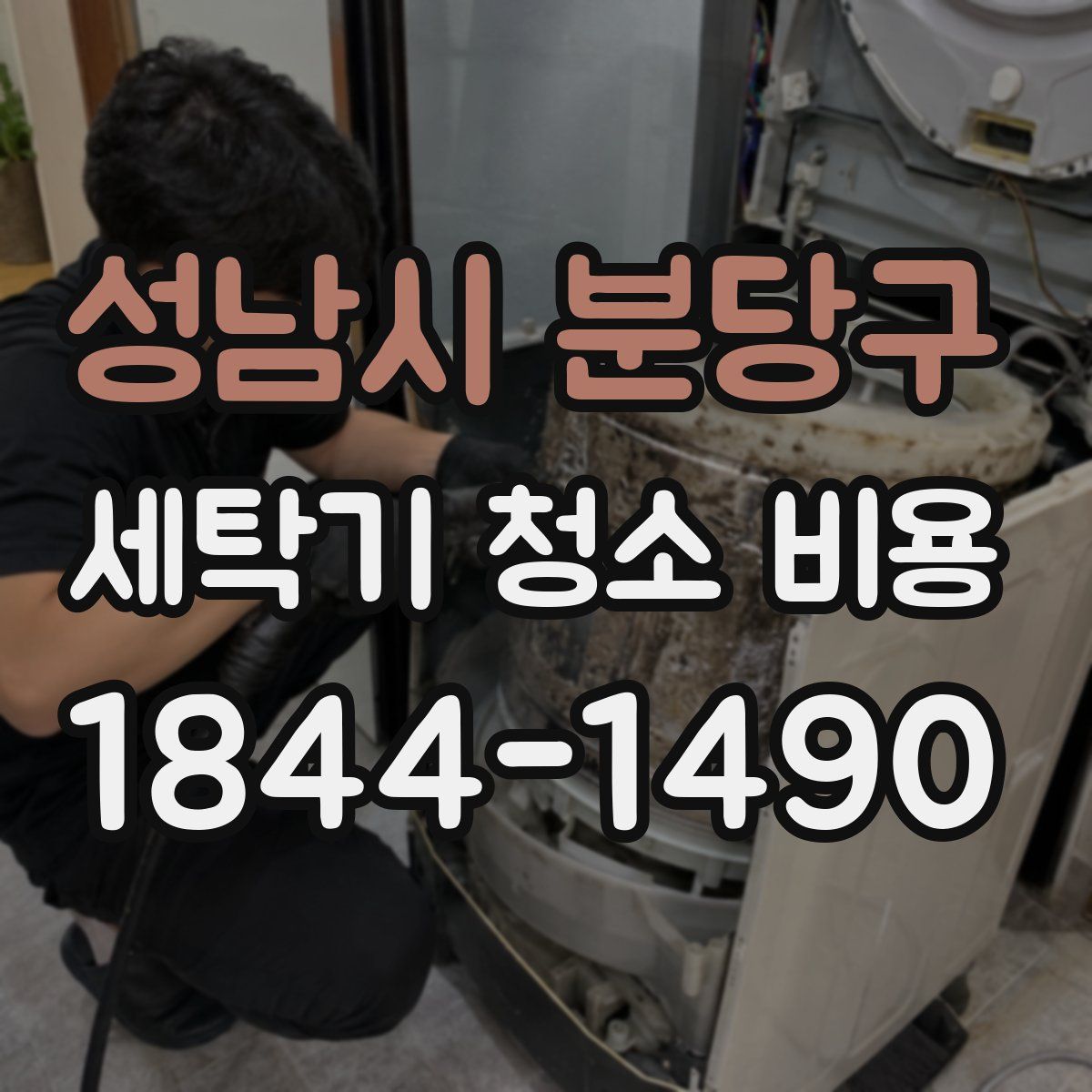 성남시 분당구 세탁기 청소 비용