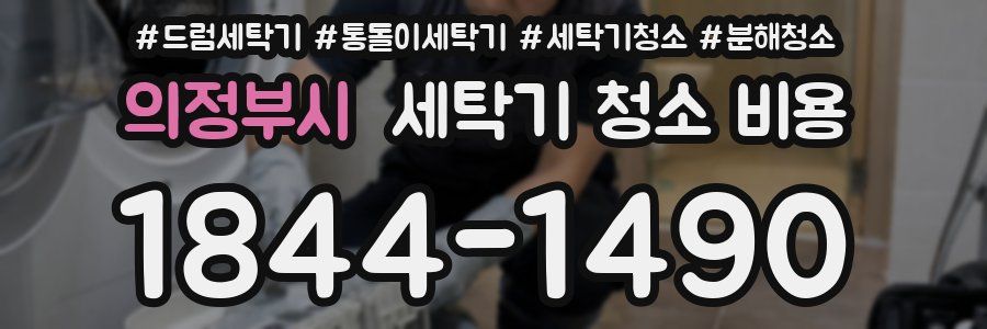 의정부시 세탁기 청소 비용