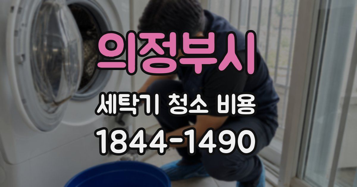 의정부시 세탁기 청소 비용