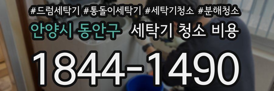 안양시 동안구 세탁기 청소 비용