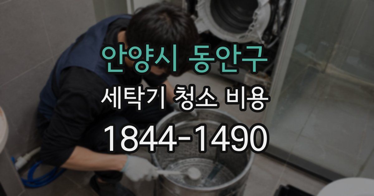 안양시 동안구 세탁기 청소 비용
