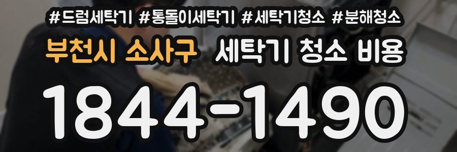 부천시 소사구 세탁기 청소 비용