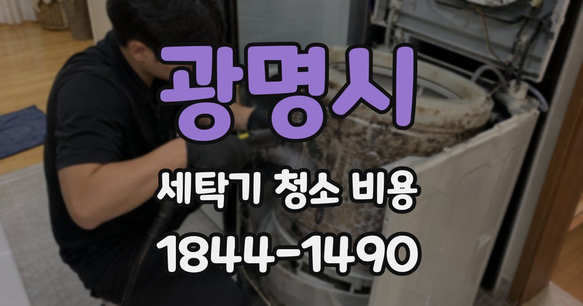 광명시 세탁기 청소 비용