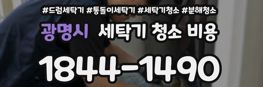 광명시 세탁기 청소 비용