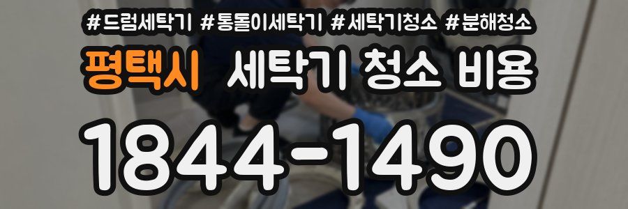 평택시 세탁기 청소 비용