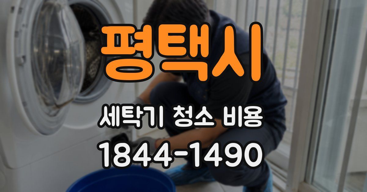 평택시 세탁기 청소 비용