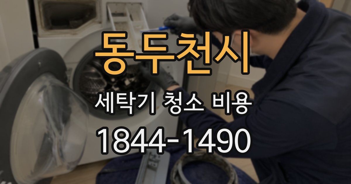 동두천시 세탁기 청소 비용