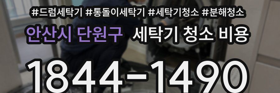 안산시 단원구 세탁기 청소 비용