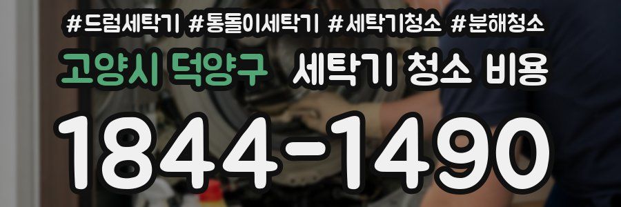 고양시 덕양구 세탁기 청소 비용