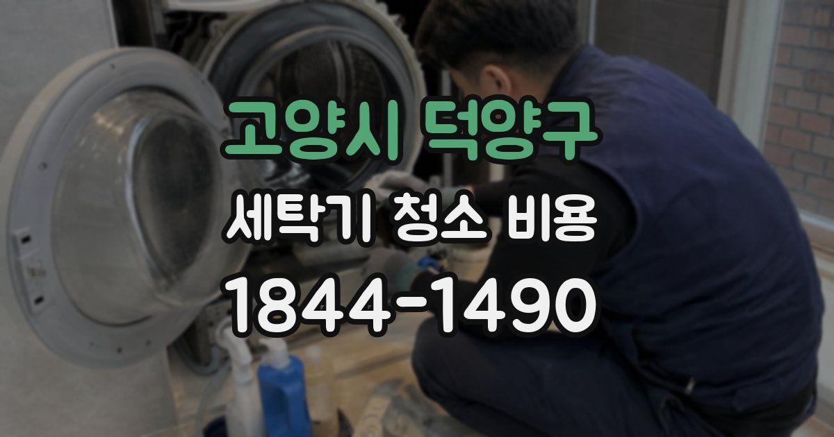 고양시 덕양구 세탁기 청소 비용