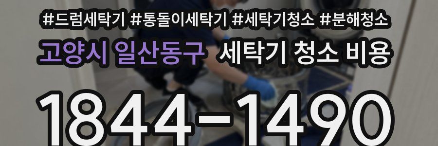 고양시 일산동구 세탁기 청소 비용