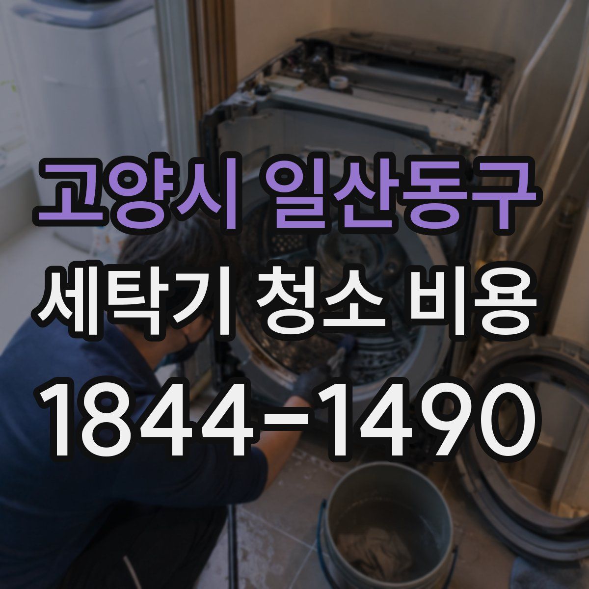 고양시 일산동구 세탁기 청소 비용