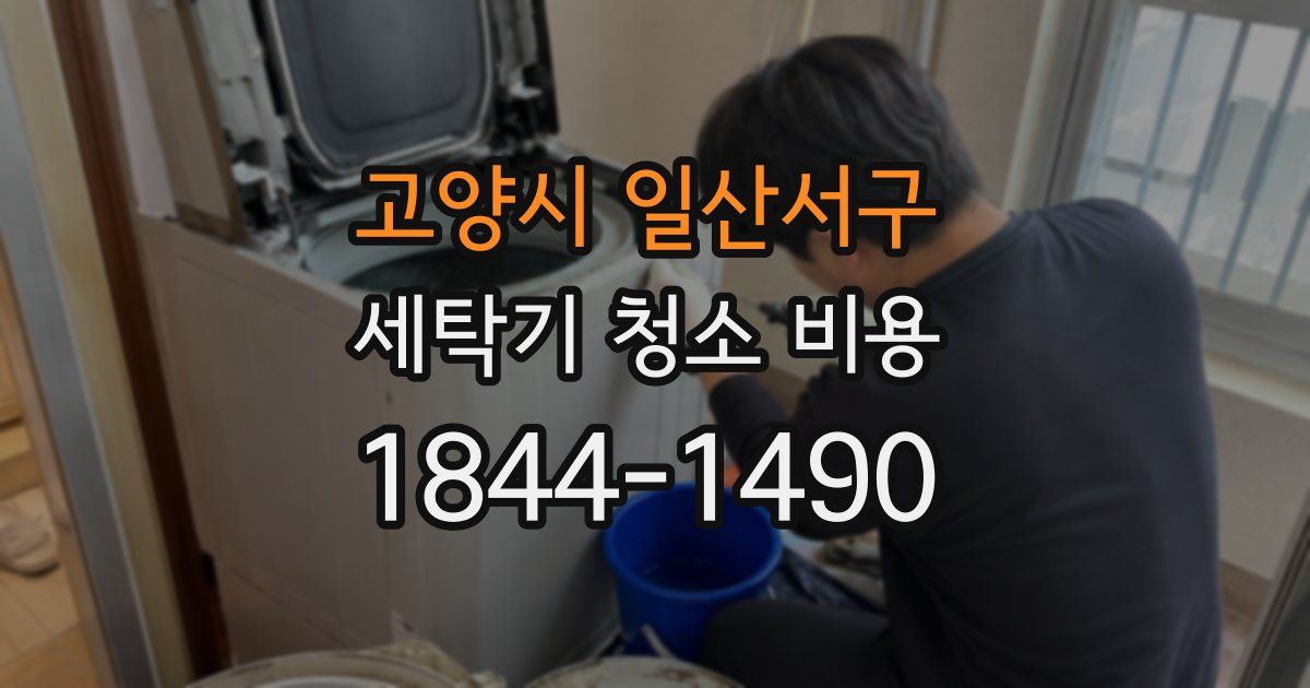 고양시 일산서구 세탁기 청소 비용