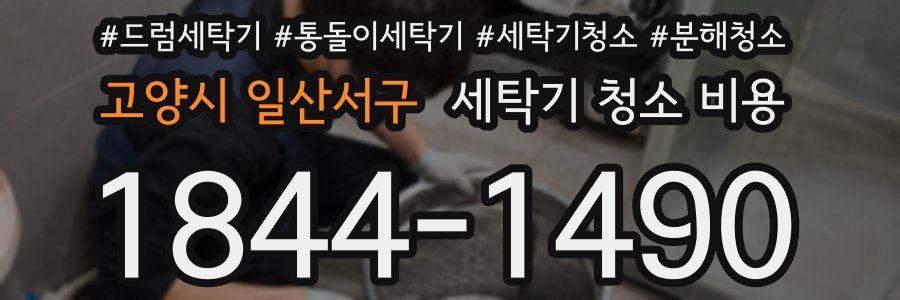 고양시 일산서구 세탁기 청소 비용
