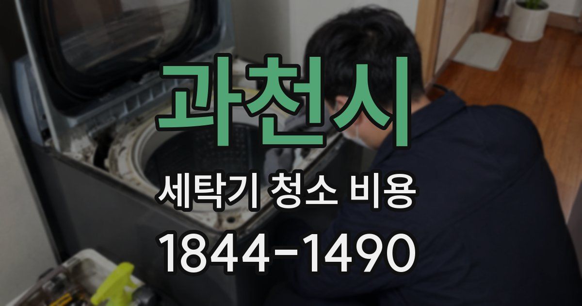 과천시 세탁기 청소 비용