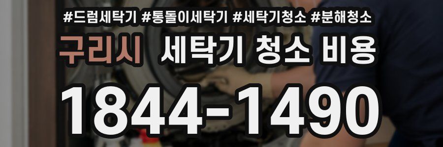 구리시 세탁기 청소 비용