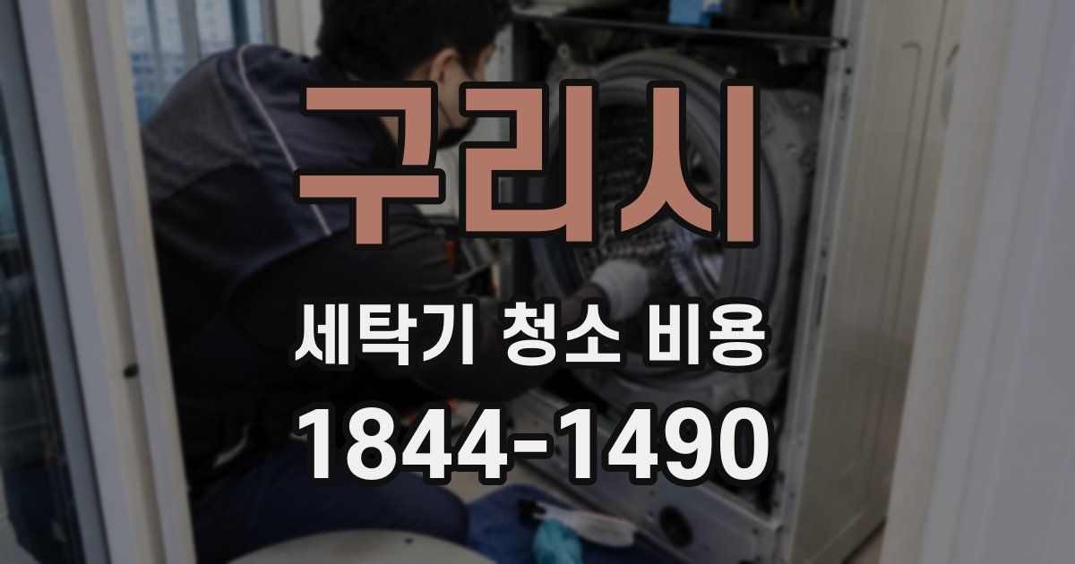 구리시 세탁기 청소 비용