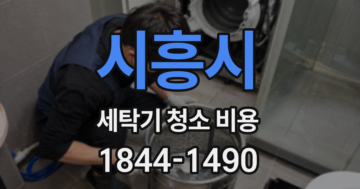 시흥시 세탁기 청소 비용