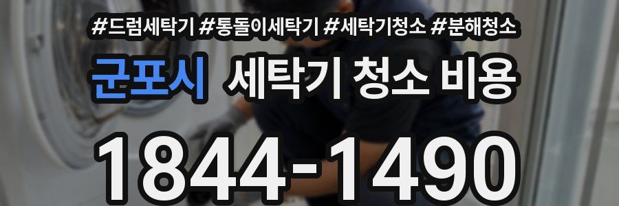 군포시 세탁기 청소 비용