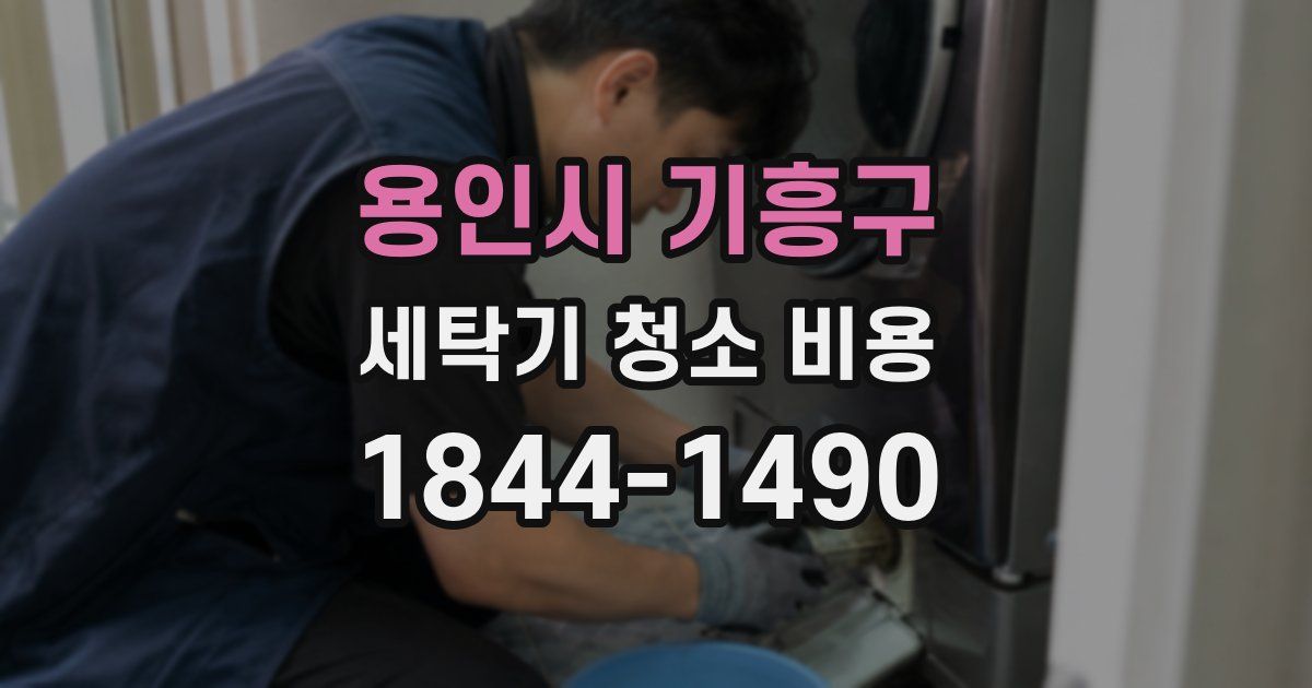 용인시 기흥구 세탁기 청소 비용