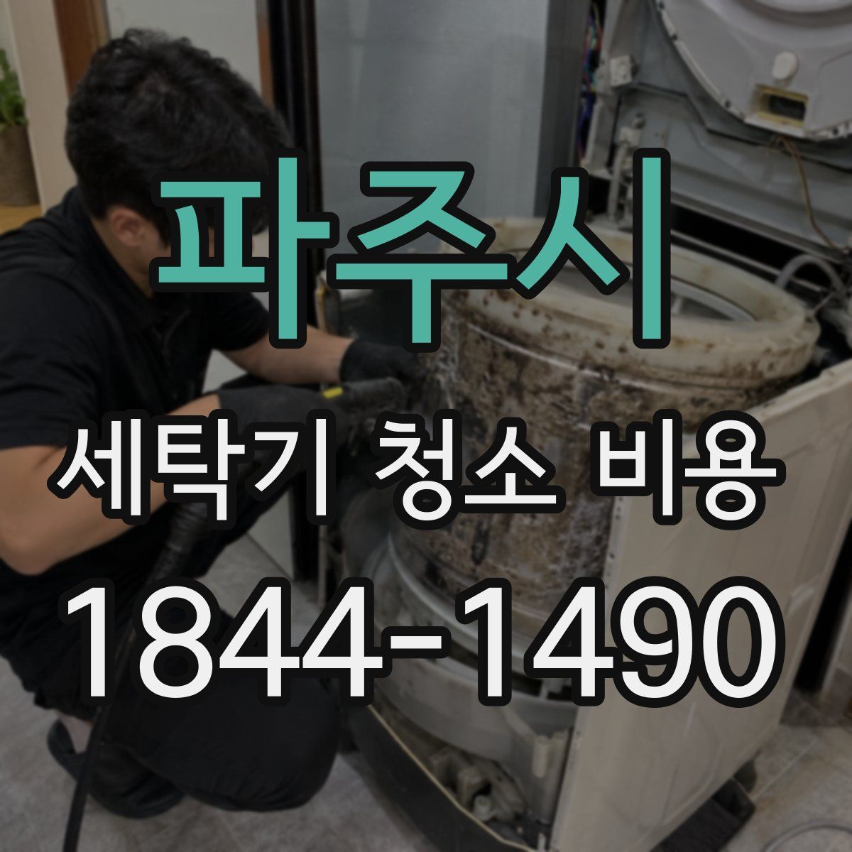파주시 세탁기 청소 비용
