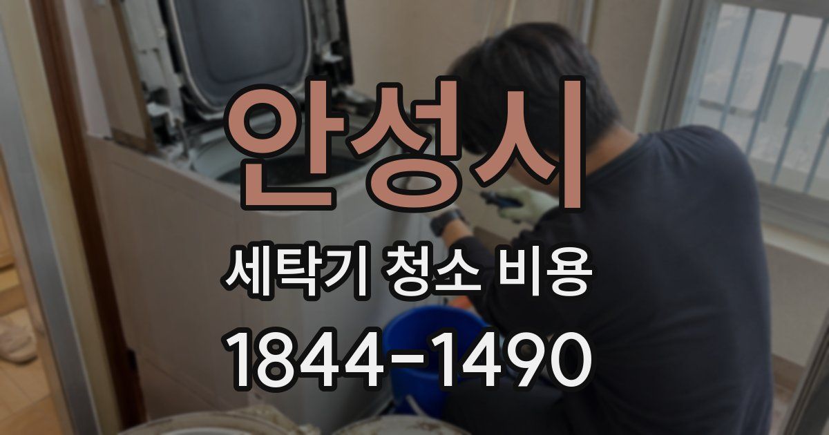 안성시 세탁기 청소 비용