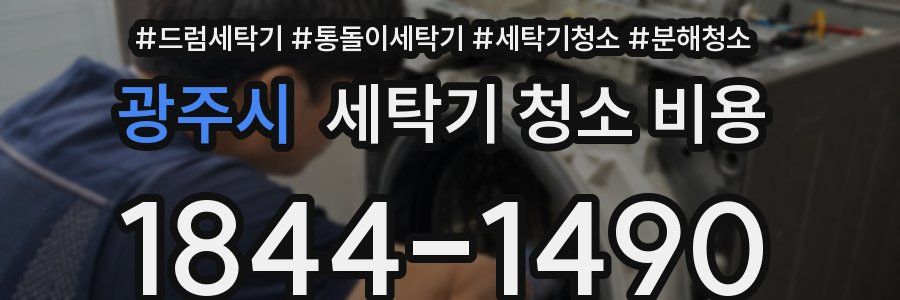 광주시 세탁기 청소 비용