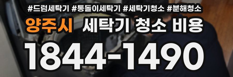 양주시 세탁기 청소 비용