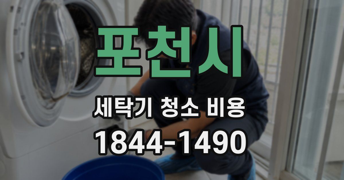 포천시 세탁기 청소 비용