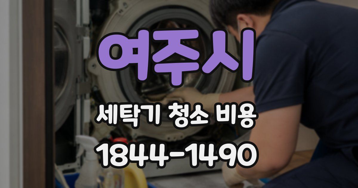 여주시 세탁기 청소 비용