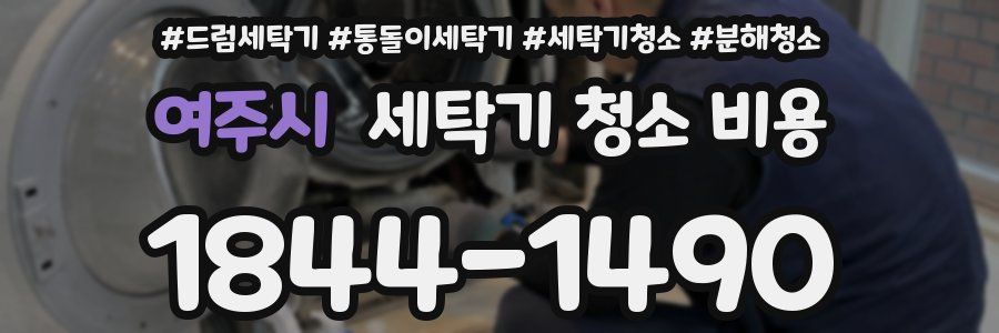 여주시 세탁기 청소 비용