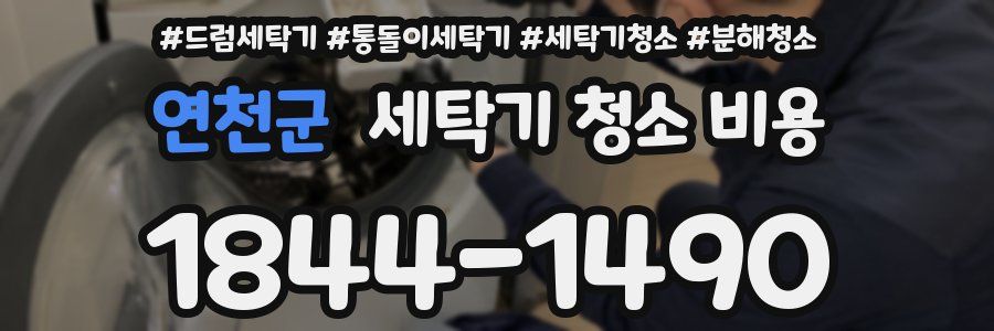 연천군 세탁기 청소 비용